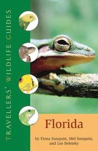 bokomslag Traveller's Wildlife Guide to Florida