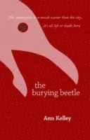 bokomslag The Burying Beetle
