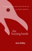 bokomslag Burying Beetle