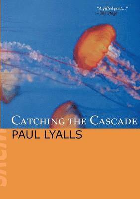 Paul Lyalls - Catching the Cascade, Häftad