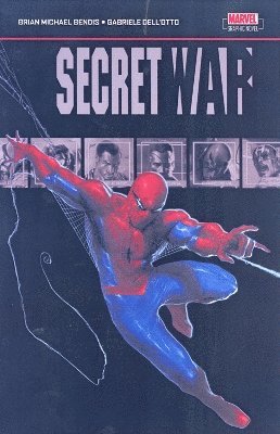 bokomslag Secret War