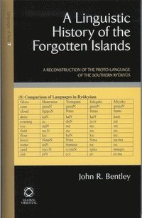 bokomslag A Linguistic History of the Forgotten Islands: A Reconstruction of the Proto-Language of the Southern Ry?ky?s