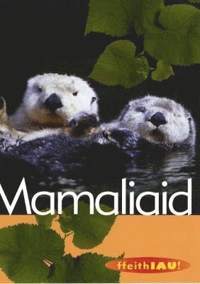 Paul McEvoy - Cyfres Ffeithiau! Anifeiliaid: Mamaliaid, Häftad