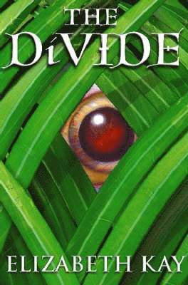 Elizabeth Kay - The Divide, Häftad