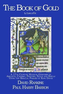 bokomslag Book of Gold - Le Livre d'Or