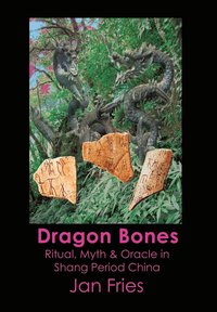 bokomslag Dragon Bones