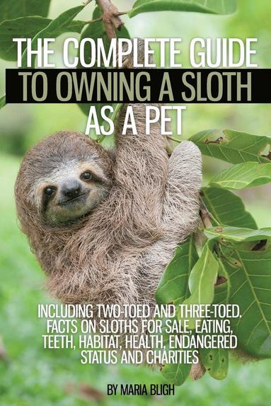 bokomslag The Complete Guide to Owning a Sloth as a Pet including Two-Toed and Three-Toed. Facts on Sloths for Sale, Eating, Teeth, Habitat, Health, Endangered Status and Charities