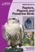 bokomslag BSAVA Manual of Raptors, Pigeons and Passerine Birds