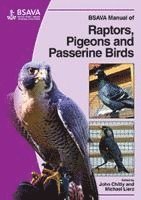 bokomslag BSAVA Manual of Raptors, Pigeons and Passerine Birds