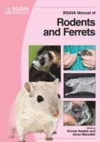 bokomslag BSAVA Manual of Rodents and Ferrets