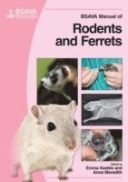 Emma Keeble, Anna Meredith - BSAVA Manual of Rodents and Ferrets, Häftad