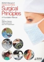 bokomslag BSAVA Manual of Canine and Feline Surgical Principles