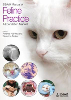 bokomslag BSAVA Manual of Feline Practice