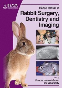 bokomslag BSAVA Manual of Rabbit Surgery, Dentistry and Imaging