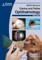 David Gould, Gillian McLellan, UK) Gould, David (Davies Veterinary Specialists, USA) McLellan, Gillian (University of Wisconsin-Madison Veterinary Medical Teaching Hospital, Gillian Mclellan - BSAVA Manual of Canine and Feline Ophthalmology, Häftad