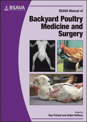 Guy Poland, Aidan Raftery - BSAVA Manual of Backyard Poultry, Häftad
