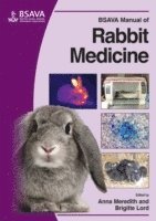 Anna Meredith, Brigitte Lord - BSAVA Manual of Rabbit Medicine, Häftad