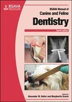 bokomslag BSAVA Manual of Canine and Feline Dentistry and Oral Surgery