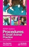 bokomslag BSAVA Guide to Procedures in Small Animal Practice