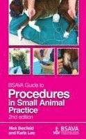 BSAVA Guide to Procedures in Small Animal Practice 1