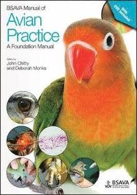 bokomslag BSAVA Manual of Avian Practice: A Foundation Manual
