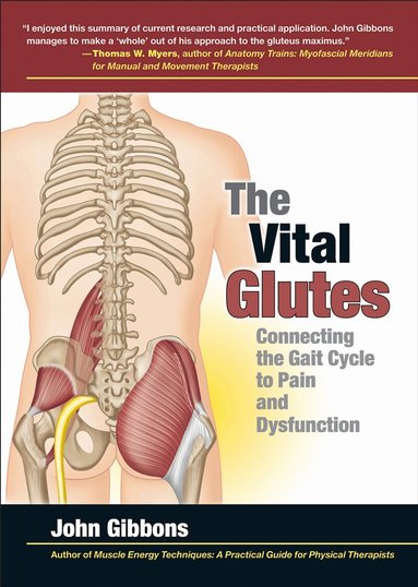 John Gibbons - Vital Glutes, Häftad