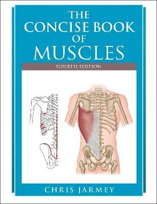bokomslag Concise  Book of Muscles  Fourth Edition