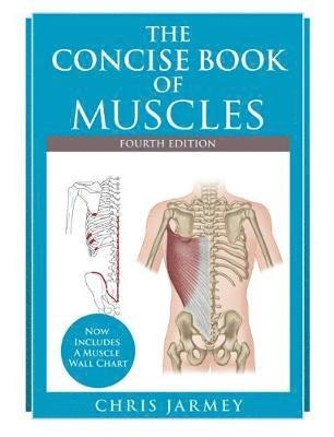 Chris Jarmey - Concise  Book of Muscles  Fourth Edition, Häftad