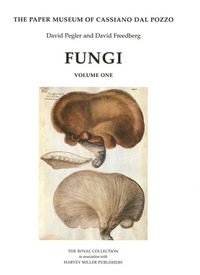bokomslag Fungi