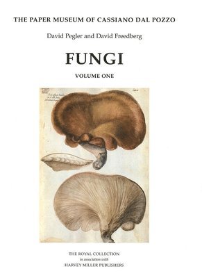 bokomslag Fungi