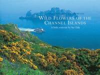 bokomslag Wild Flowers of the Channel Islands Little Souvenir