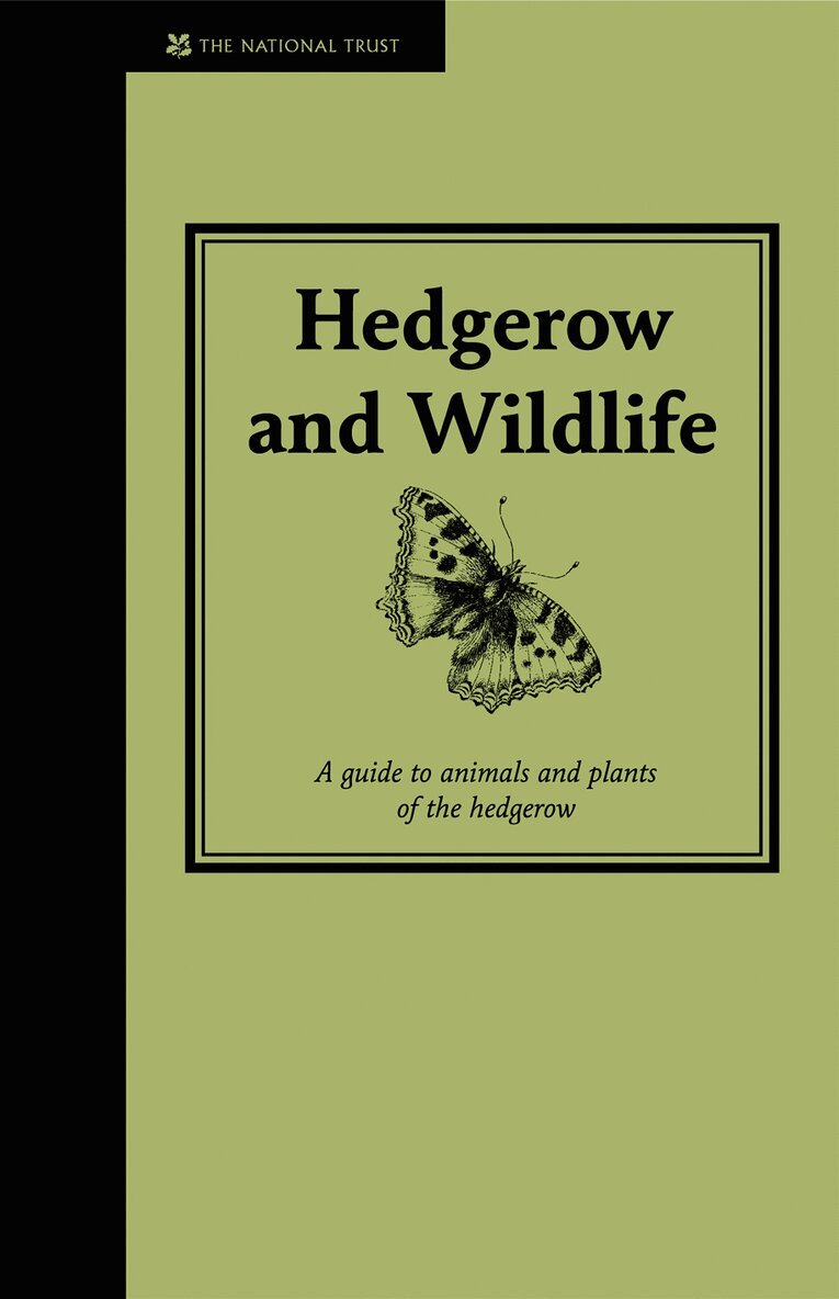 Hedgerow & Wildlife