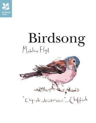 bokomslag Birdsong