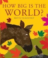 bokomslag How Big is the World?