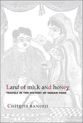 bokomslag Land of Milk and Honey - Travels in the History of Indian Food