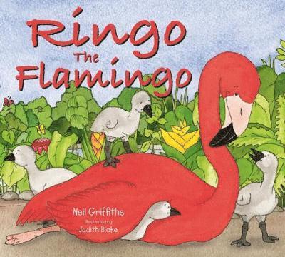 Neil Griffiths - Ringo the Flamingo, Häftad