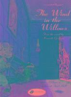 bokomslag Wind in the Willows 4 - Panic at Toad Hall