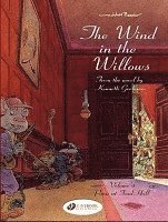 bokomslag Wind in the Willows 4 - Panic at Toad Hall