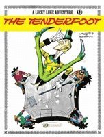 bokomslag Lucky Luke 13 - The Tenderfoot