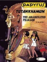 bokomslag Papyrus 3 - Tutankhamun