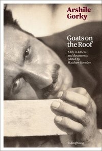 bokomslag Arshile Gorky: Goats on the Roof