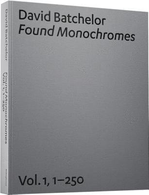 bokomslag David Batchelor: Found Monochromes