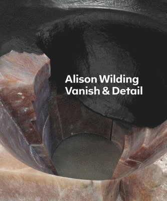 Alison Wilding: Vanish & Detail, Häftad