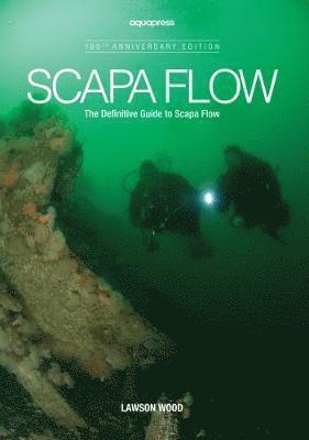 bokomslag Scapa Flow