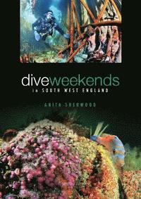 bokomslag Dive Weekends in South West England