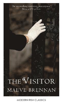 bokomslag The Visitor