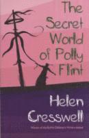 bokomslag The Secret World of Polly Flint