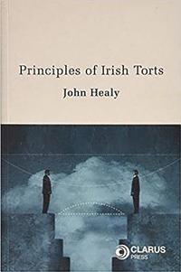 bokomslag Principles of Irish Torts