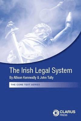 bokomslag The Irish Legal System