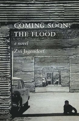 Zvi Jagendorf - Coming Soon: The Flood, Häftad